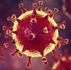 Coronavirus : Arrêt du soutien scolaire jusqu'à la rentrée de septembre 2020